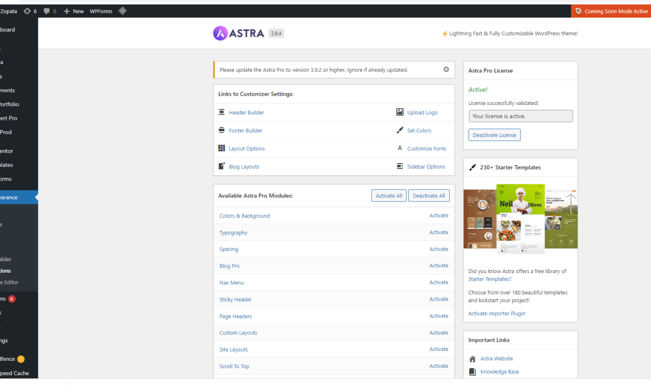 Astra Pro License KEY 1000 Website - Image 3
