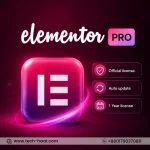 Elementor Pro License subscription Price in Bd