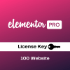 Elementor Pro License Key price in bd bangladesh wordpress bangladesh elementor offcial free license wptheme wpthmeshop