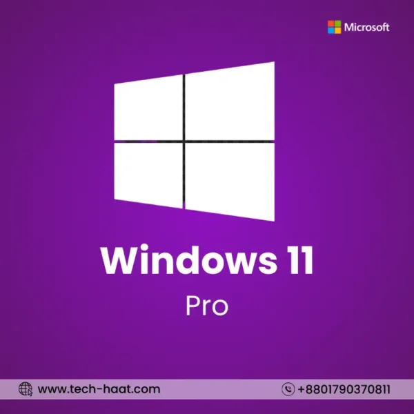 windows 11